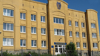 Жителю Миасса, выкинувшему кошку из окна седьмого этажа, вынесли приговор