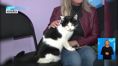 Копейчанин спасает бездомных животных