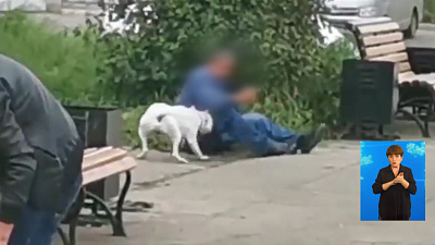 Бойцовский пёс напал на прохожего Бойцовский пёс напал на прохожего