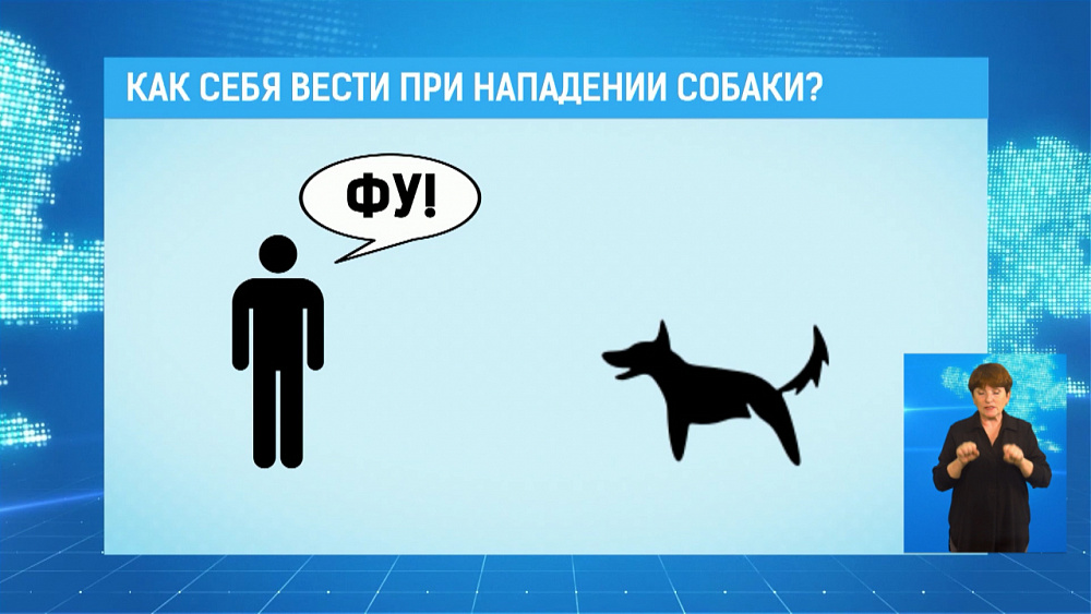 Как вести себя при нападении собаки объясняют в МЧС Как вести себя при нападении собаки объясняют в МЧС