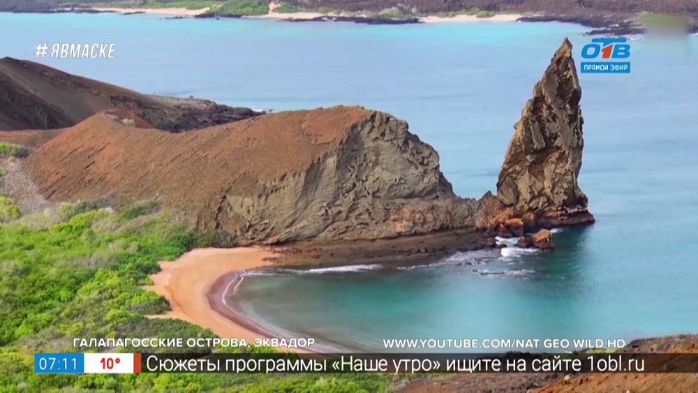 Путешествия в квартире — места для наблюдения за дикой природой