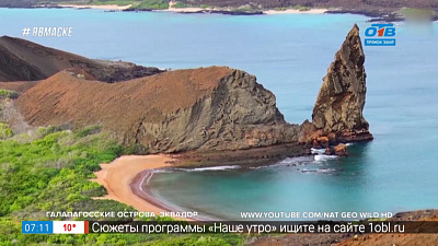 Путешествия в квартире — места для наблюдения за дикой природой