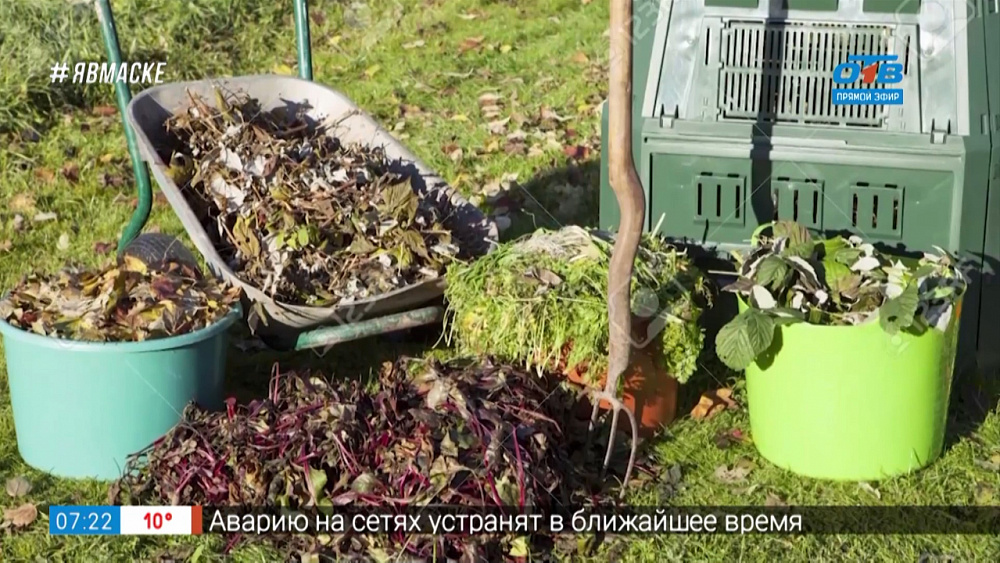 Руки садовода — подкормка почвы осенью