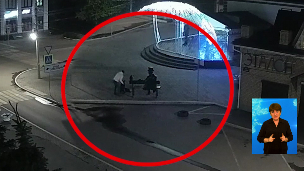 Вандала, сломавшего лисицу, нашли