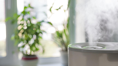 Как не стать заложником плохого воздуха в квартире: 7 простых советов