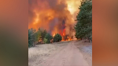 Воронеж оказался в огненном кольце: видео пожаров наводнило социальные сети