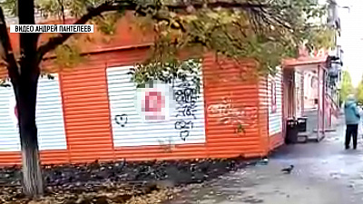 Голуби преследуют миасцев