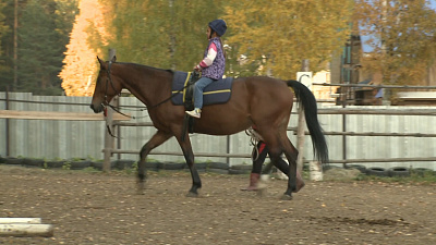 Дети с особенностями здоровья общаются с лошадьми