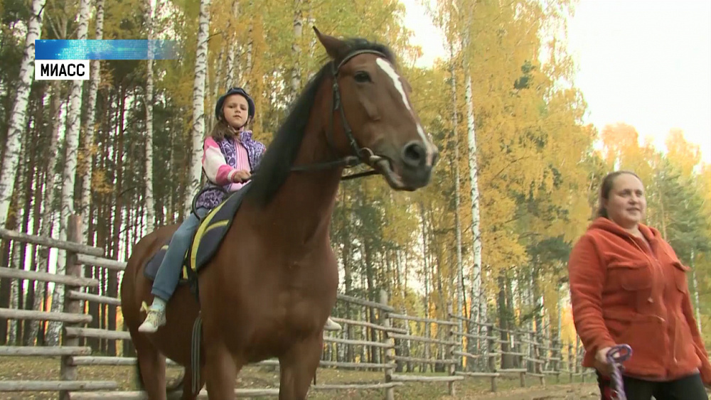 В Миассе пройдут курсы иппотерапии