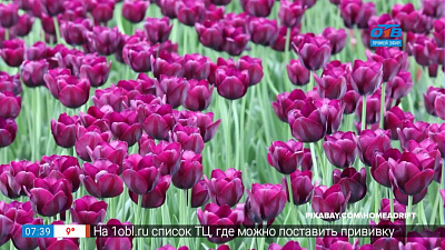 Путешествие в квартире — Живописные сады