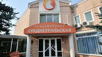 Перенос птицефабрики «Среднеуральская» обойдется «Равису» в несколько миллиардов рублей
