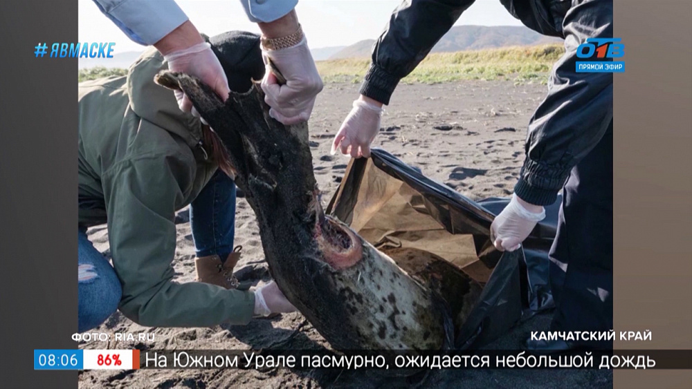 Дайджест. В стране и мире — События за 6 октября