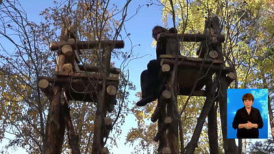 В Каслях проходит ленд-арт фестиваль «Острова»