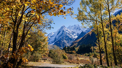 Южноуральцы смогут выгодно путешествовать по программе туристического кэшбэка
