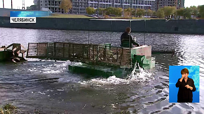 Реку Миасс поддерживают в чистом состоянии