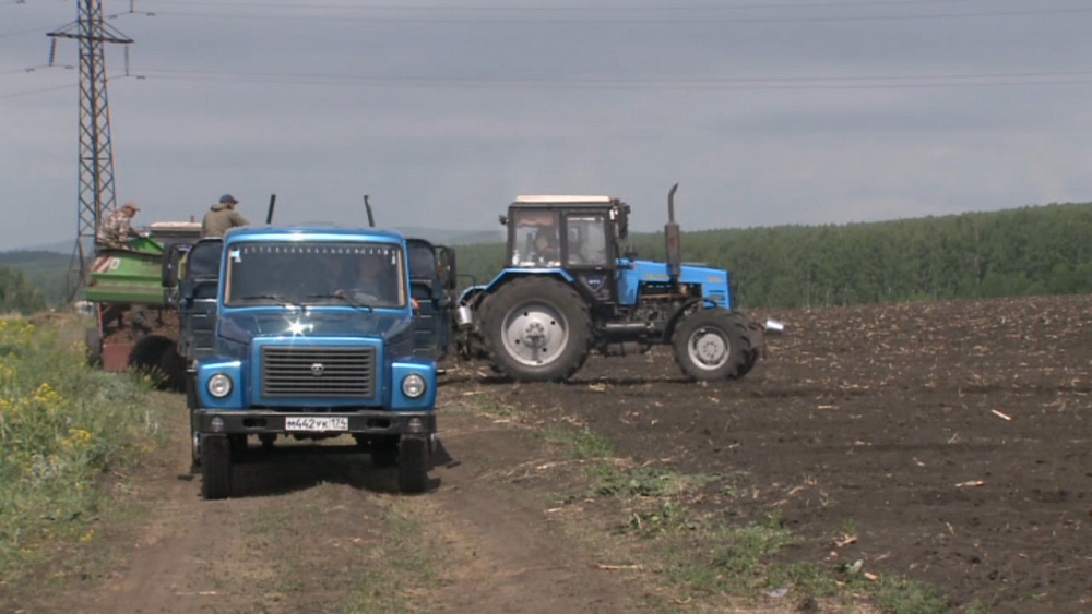 В России отмечают день работника сельского хозяйства