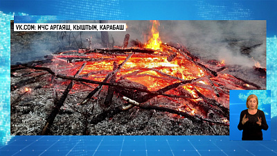 На Южном Урале вновь горят леса