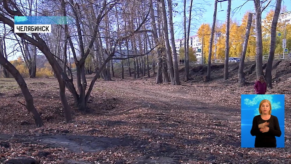 За ареной «Трактор» появится экосквер