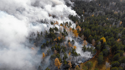 В Челябинской области за сутки зафиксировали несколько крупных лесных пожаров
