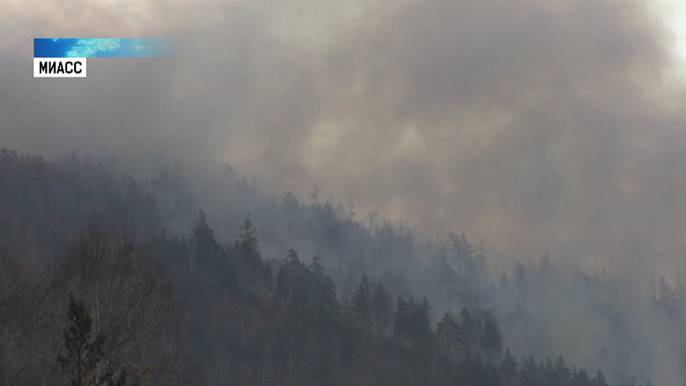 Введён особый противопожарный режим
