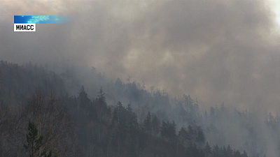 Введён особый противопожарный режим