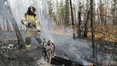 Масштабный лесной пожар разгорелся на территории Каслинского района