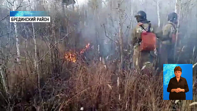 Под Бредами тушат крупный природный пожар