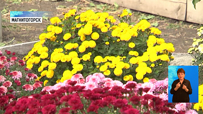 Цветущий сад до самой зимы