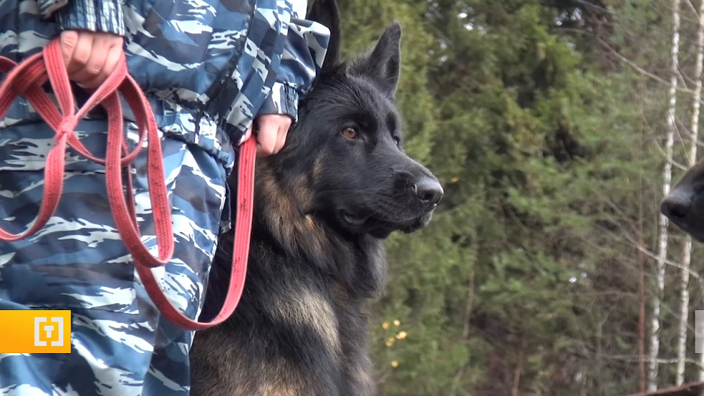 На Таганае ищут жителя Миасса