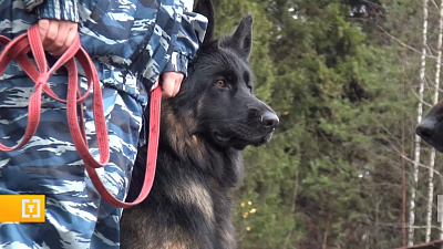 На Таганае ищут жителя Миасса