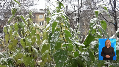 В горнозаводской зоне — снегопад