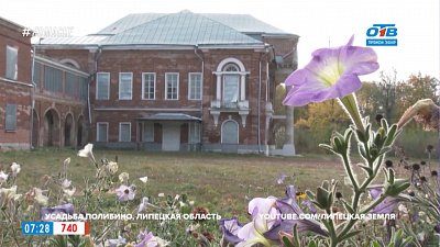 Путешествие в квартире — Путешествия по самым красивым дворянским усадьбам