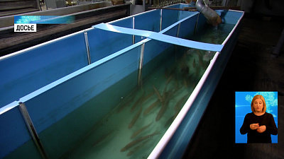 Рыбакам будут зарыблять места ловли