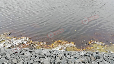 Эксклюзивные кадры с места, где был найден труп младенца, выброшенного в реку Миасс