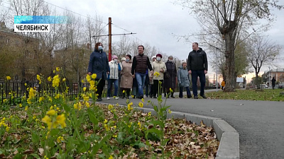 В Металлургическом районе высадили ясени
