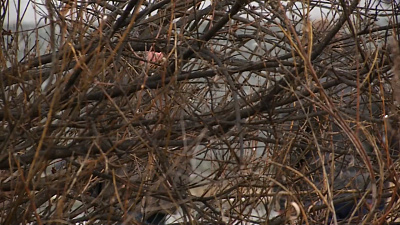 7-месячного малыша сегодня похоронили