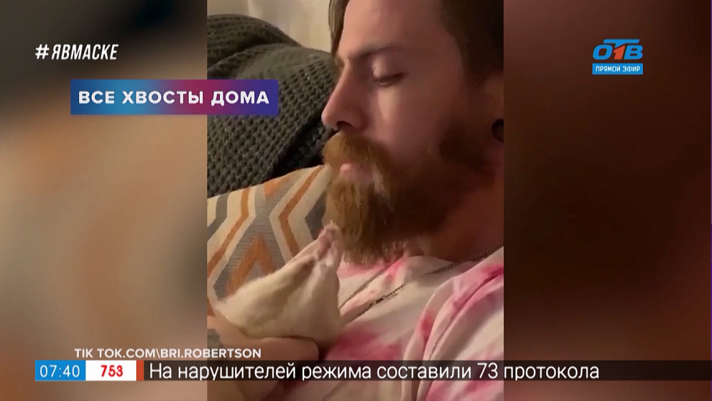 Все хвосты дома — Хорек-барбер