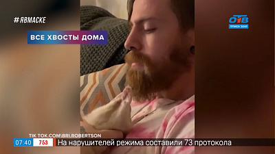 Все хвосты дома — Хорек-барбер