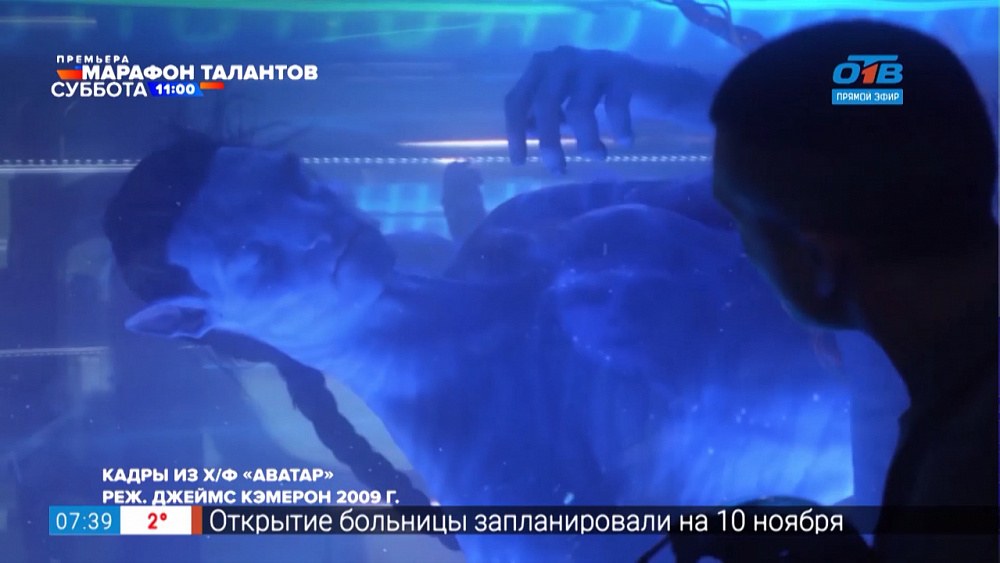 Домашний кинотеатр — Лучшие фильмы Кейт Уинслет