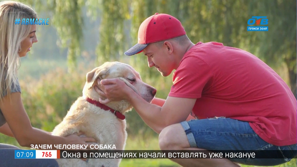 Добавь Обороты — «Дать добро»