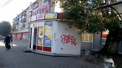 Наталья Котова поручила объяснить отказы предпринимателям в праве на «ларечную амнистию» 