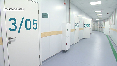 В Малой Сосновке открыли новую больницу