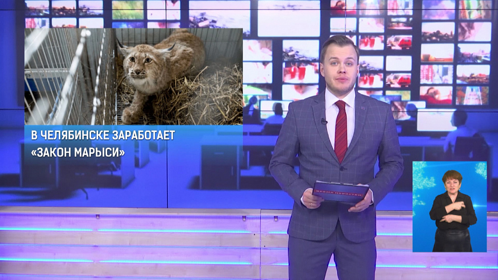 В Челябинске заработает «закон Марыси»