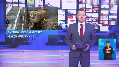 В Челябинске заработает «закон Марыси»