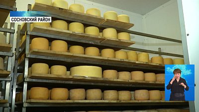 Сыроварня участвует в конкурсе «Вкусы России»