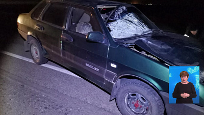 В Магнитогорске насмерть сбили пешехода