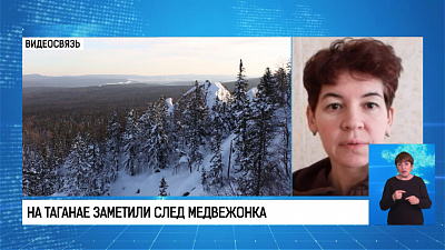 На Таганае заметили след медвежонка