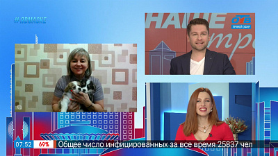 Гость на связи — Забавные корги