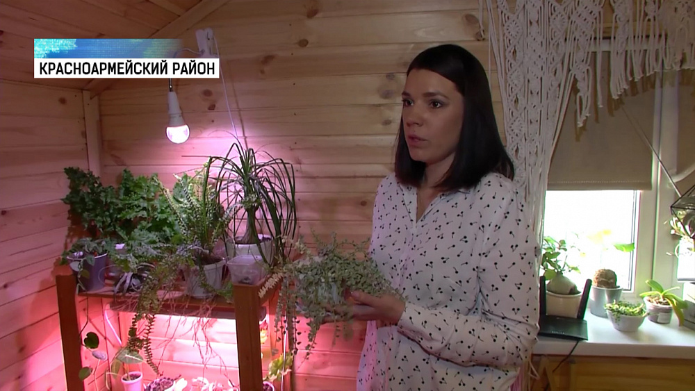 Мамам в декрете предлагают освоить профессии