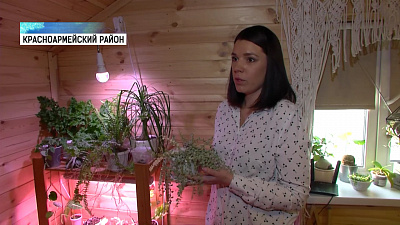 Мамам в декрете предлагают освоить профессии